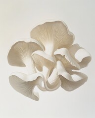 Gouache Cremini Mushrooms: Five Fungi on Clean White Surface