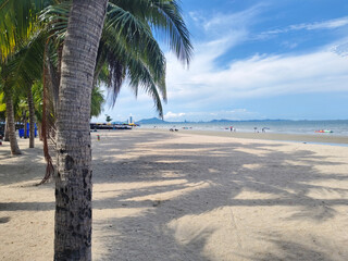 tropical beach with palm trees