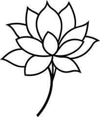 lotus flower isolated on white background