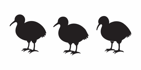 Minimal vector of a Kiwi bird in silhouette style. Perfect for use in environmental posters, country-themed designs, or animal clipart collections.