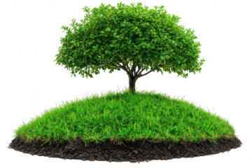 Lush green tree on grassy hilltop isolated on transparent background