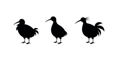 Minimal vector of a Kiwi bird in silhouette style. Perfect for use in environmental posters, country-themed designs, or animal clipart collections.
