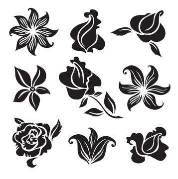 Different type of Flower vector image desine