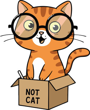 An orange cartoon cat wearing glasses sits in a box labeled NOT CAT