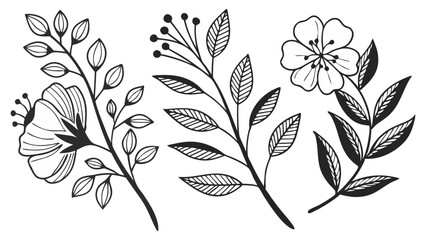 Three floral branches with flowers and leaves in black and white line art style