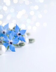 Borage flower background