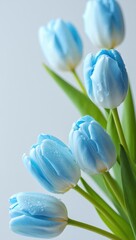Beautiful blue tulips arranged elegantly in a simple vase for a spring decoration idea