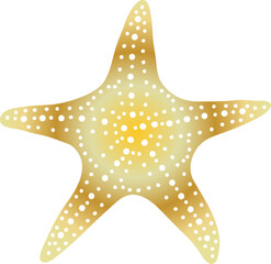 Golden starfish hand drawn vector illustration. Isolated sea printing for souvenir decoration. Single illustration of marine life. Monochrome drawing of starfish. Ocean aesthetic for interior design