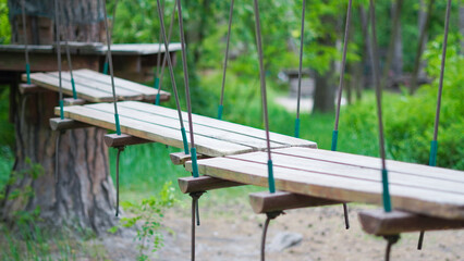 Rope course in pine woods offering safe climbing fun for children