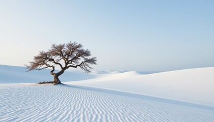 Surreal Landscape with Isolated Tree in Snowy Dunes