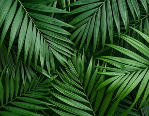 Lush, vibrant green palm fronds create a dense, textured background