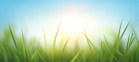 Close-up of soft defocused template illustration of fresh green grass grasses meadow field with blue sky in the spring or summer