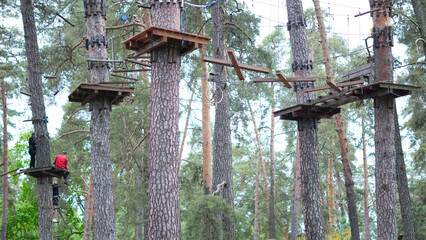 Outdoor rope park amidst pine trees designed for children's activities