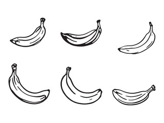 Bananas vector line art