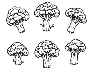 Broccoli vector line art