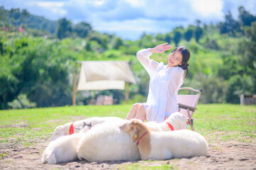 beautiful asian woman wearing a sheer white outfit smiles happily while sitting beside resting sheep in a sunny green countryside field.