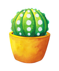 Astrophytum Asterias tree tropical plant cactus succulent fresh desert green pot ceramic flowerpot pottery gardening houseplant art illustration watercolor painting design white isolated background
