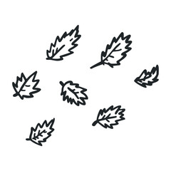 Fototapeta premium Hand-drawn doodle leaves collection in various styles – stock vector icon in line drawing style