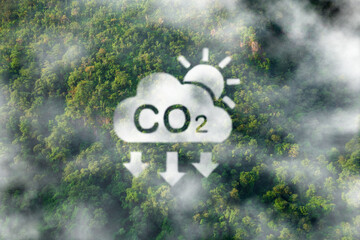 CO2 white fog, Concept depicting the issue of carbon dioxide emissions, global warming, sustainable...
