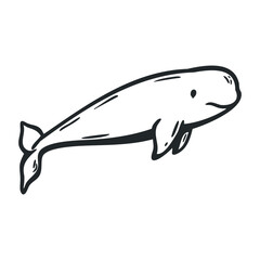 Obraz premium Hand-drawn beluga whale illustration in simple black line art style – stock vector icon in line drawing style
