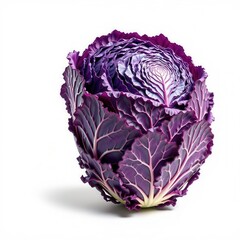 Obraz premium A vibrant head of purple cabbage with striking veined leaves, isolated on a white background.