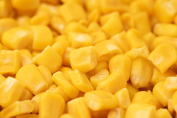 Sweet corn kernels. Sweet yellow canned corn. Fresh corn kernels. Slowly rotating in a circle	