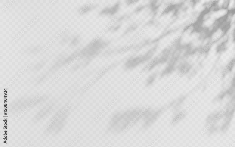 Wall mural shadow overlay from a tree branch isolated on a transparent background.