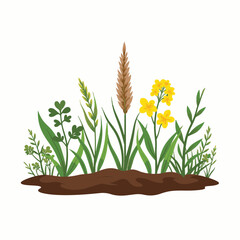 Biodiverse cover crops showcasing vibrant greens and yellows, agriculture