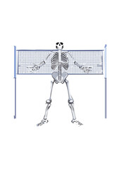 skeleton Play is a natural outlet for pent-up energy and frustration. It allows cats to express their natural instincts in a safe and appropriate manner, reducing stress and anxiety. For a breed as ca