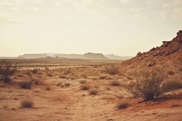 Fototapeta premium A desert landscape outdoors nature.