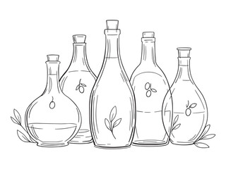 Olive oil line art illustration