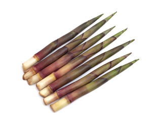 生の根曲がり筍