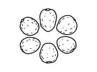 Potatoes vector line art illustration