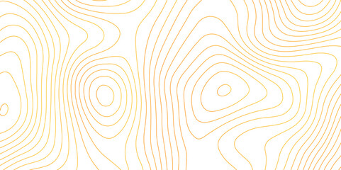 Topographic map background with geographic grid for hiking and mountain sport. modern design with white background and colorful wave line. topographic contour lines vector map seamless pattern vector.