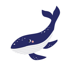 Blue whale vector illustration on isolated white background. Cute cartoon shark