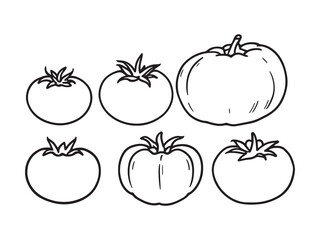 Tomato vector line art illustration