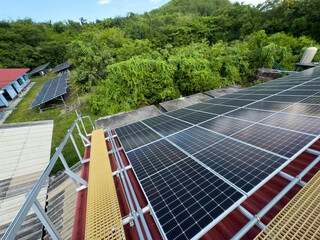 Close view of rooftop solar panels with forest background