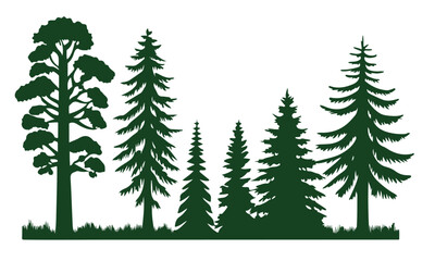 Obraz premium Evergreen Pine Tree Silhouettes vector