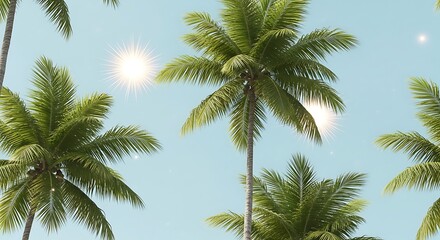 Tropical palm trees against a sunny blue sky