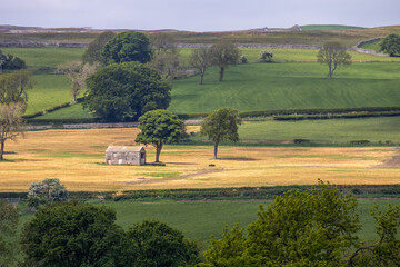Fototapeta premium Farming landscape with stone barn and trees in field on summer's day