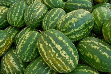 Fresh watermelons at the fruit and vegetable market