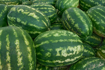 Fresh watermelons at the fruit and vegetable market