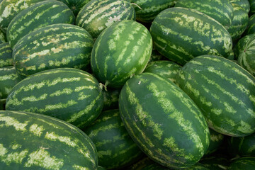 Fresh watermelons at the fruit and vegetable market