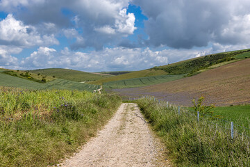A pathway through farmland in the South Downs, on a sunny spring day
