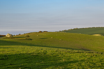 Fototapeta premium Looking out over a rolling South Downs landscape on a sunny spring evening