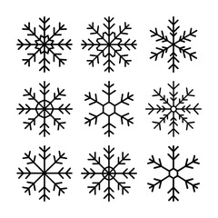set of snowflakes vector