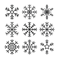 set of snowflakes vector
