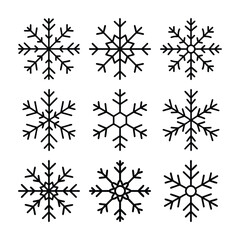set of snowflakes vector
