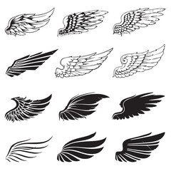 birds wing vectore image