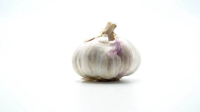 garlic with blank background with rotating motion